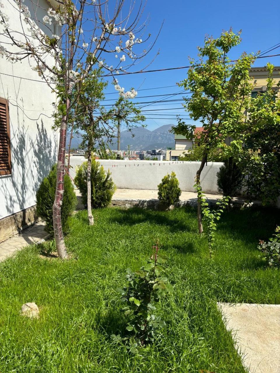 Garden One Bedroom Apartment Tiran Dış mekan fotoğraf